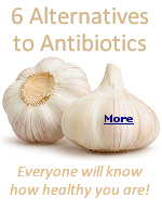 The term ''antibiotic'' refers to both natural and synthetic compounds that destroy or inhibit the growth of susceptible bacteria that cause disease in humans or animals.